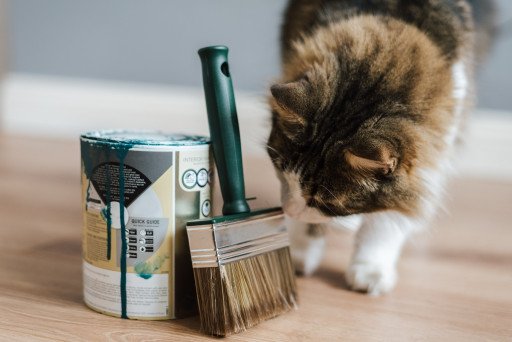 vacuum integrated cat brush
