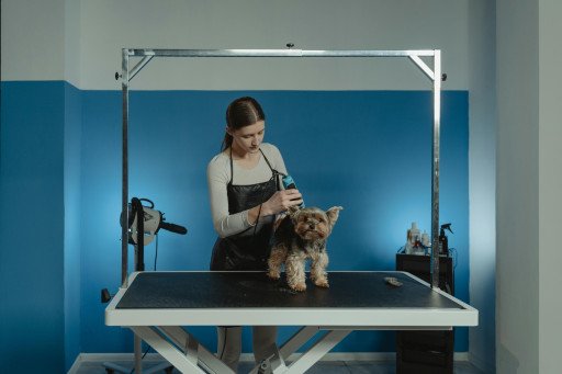 Mobile Dog Grooming Guide for Vans