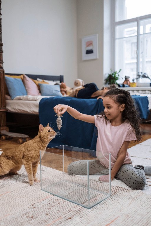 The Ultimate Guide to Selecting the Perfect Bird Cat Toy for Your Feline Friend