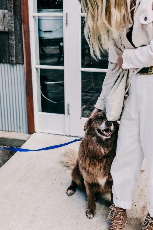 The Ultimate Guide to Choosing the Perfect Leather Dog Collar and Leash for Your Beloved Pet